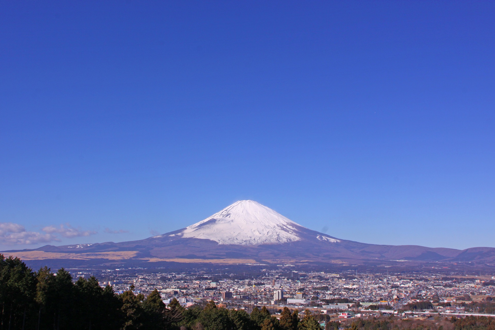 静神三島株式会社のメインビジュアル 2