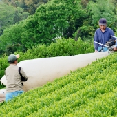 地域の方の活動紹介イメージ