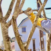 暮らしのサポートイメージ